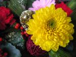 2011年｜「花庄」　（大阪府大阪市中央区の花キューピット加盟店 花屋）のブログ